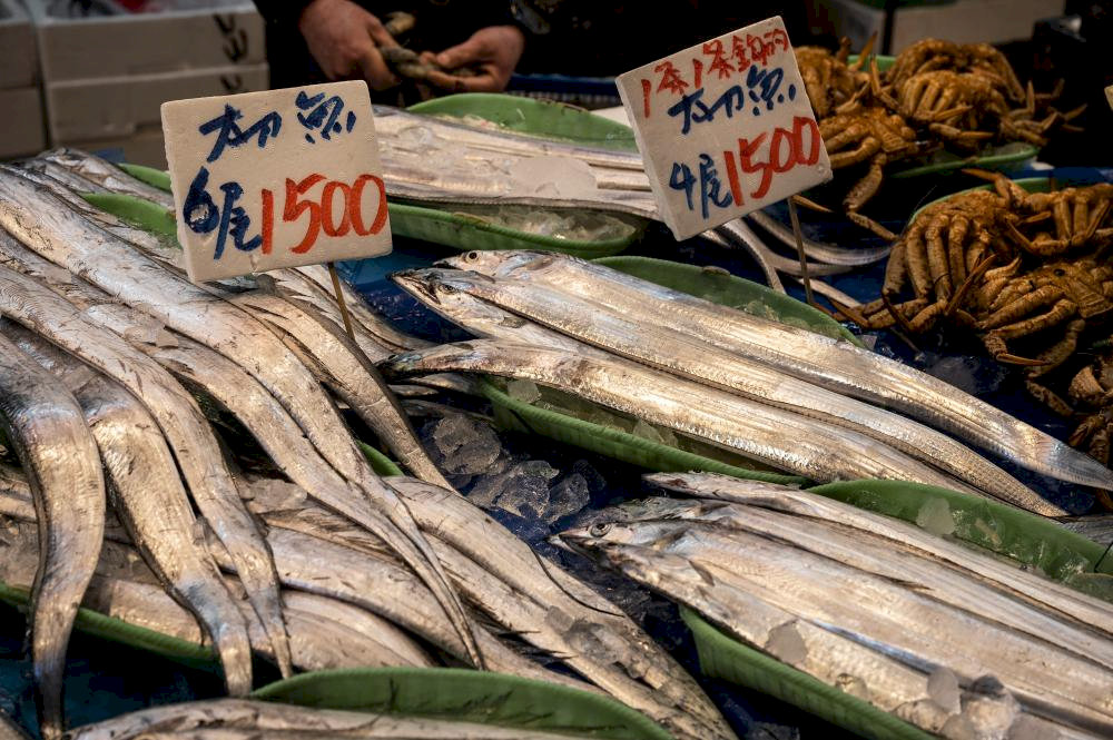 This experience offers dynamic market energy, world-class seafood cuisine, and fascinating insights into Tokyo's food industry infrastructure